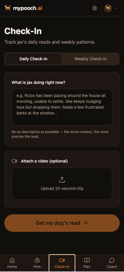 AI Check-In screen — 'What is jax doing right now?' with text input and 20-second video upload