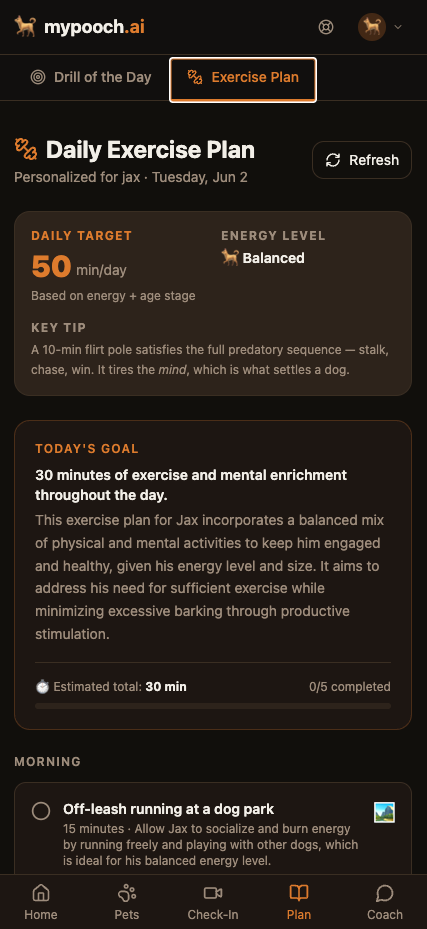 Daily Exercise Plan — 50 min/day target, Balanced energy level, key tip, Today's Goal card, and Morning block