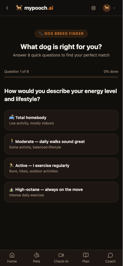 Find My Dog — 'What dog is right for you?' breed-finder quiz, Question 1 of 8 about energy level and lifestyle