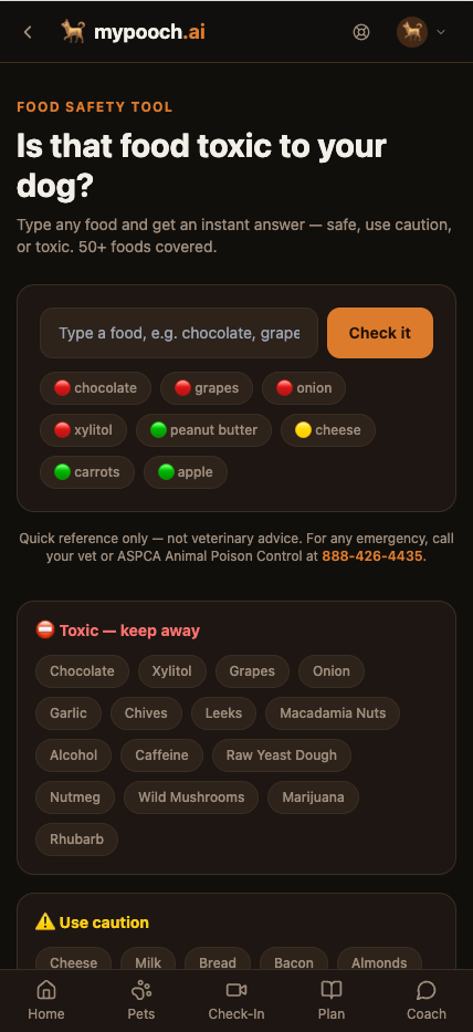 Food Safety Tool — 'Is that food toxic to your dog?' search box and a Toxic list including Chocolate, Xylitol, Grapes, Onion, Garlic, Macadamia Nuts