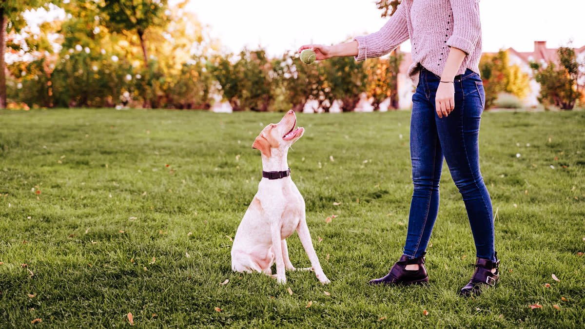 A woman playing with her dog at the park
