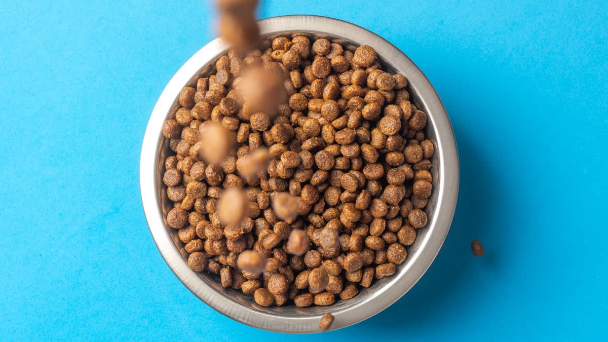 Dry dog food pouring into a metal bowl